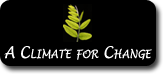 cfc_logo